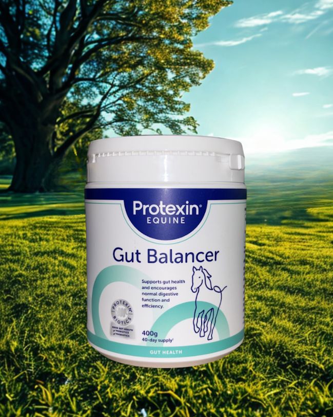 Protexin gut balancer