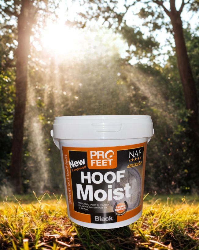 NAF Profeet Hoof Moist black
