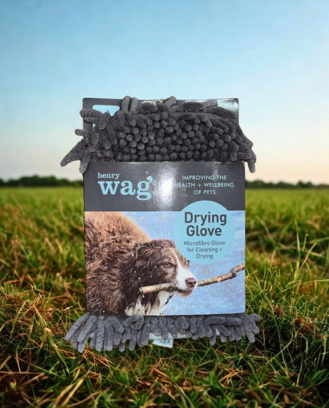Henry Wag Noodle Drying Glove Towel