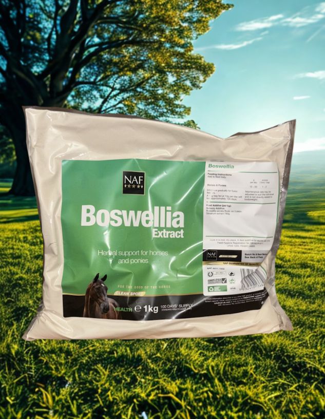 NAF Boswellia Powder 1Kg