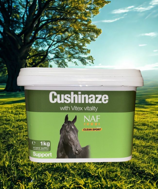 NAF Cushinaze