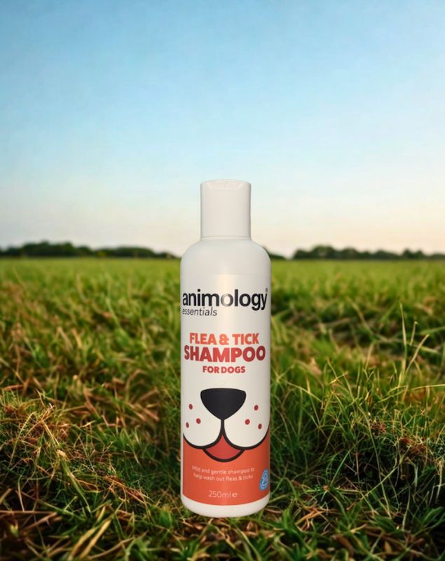 Animology Essentials Shampoo