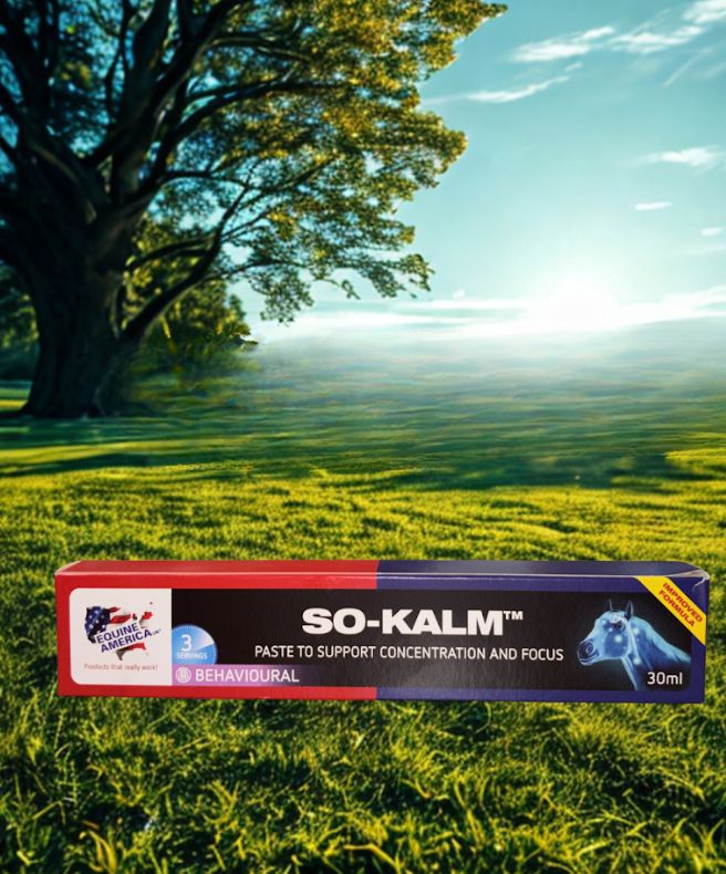 Equine America So Kalm plus syringe