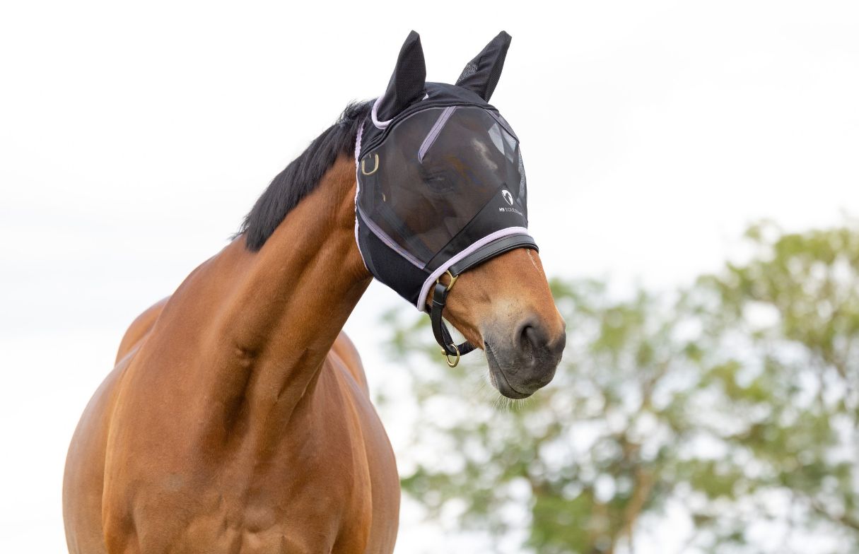 Hy Equestrian mesh half mask with ears