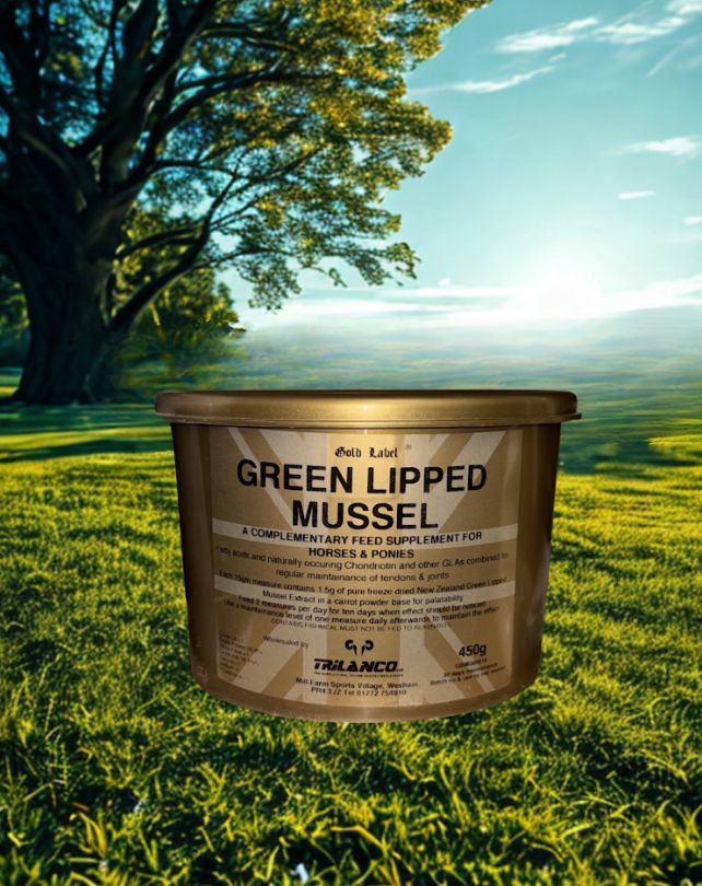 Gold label green-lipped mussel