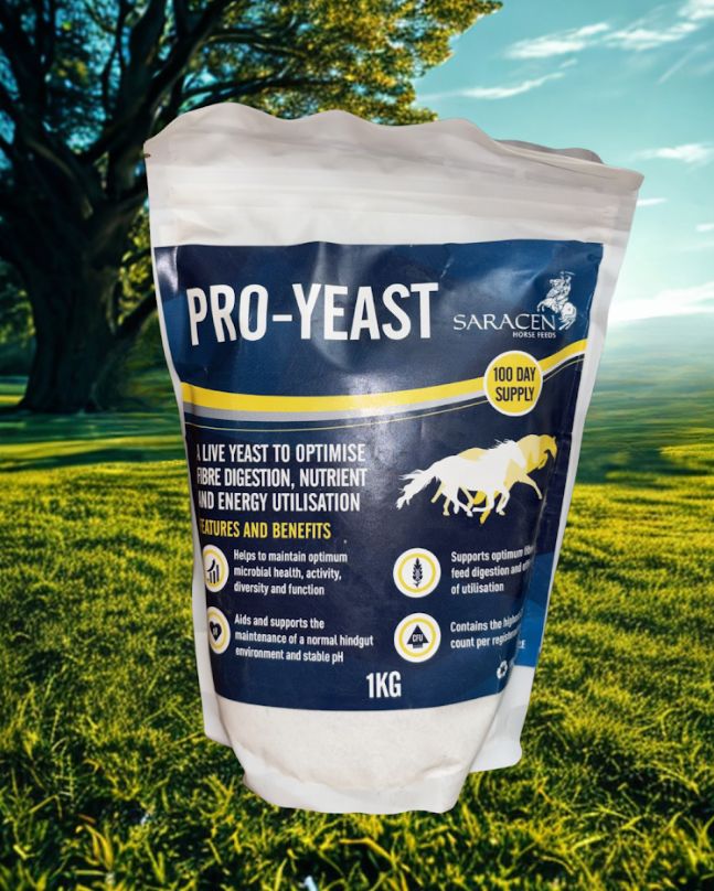 Saracen Pro-Yeast