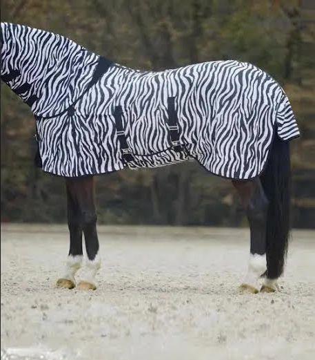 Horse Masters Mesh fly rug combo zebra