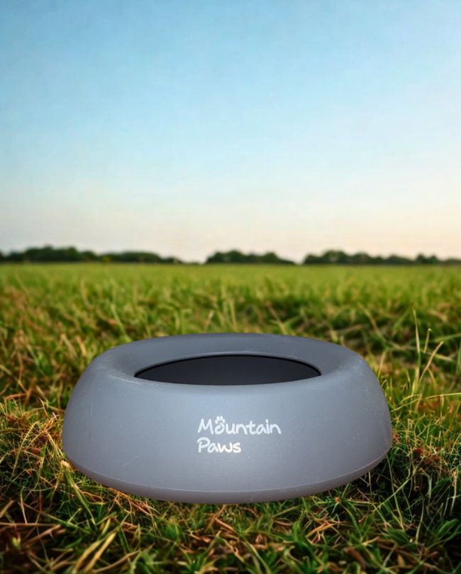 Mountain Paws Splashproof Bowl