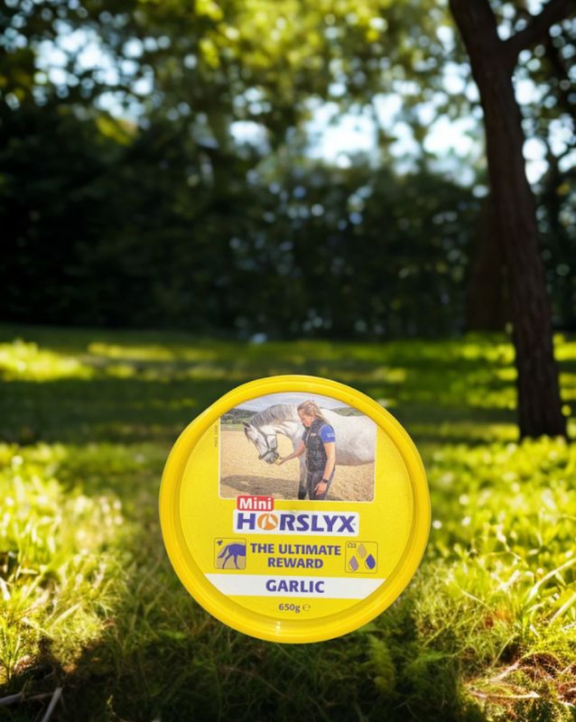Horslyx mini