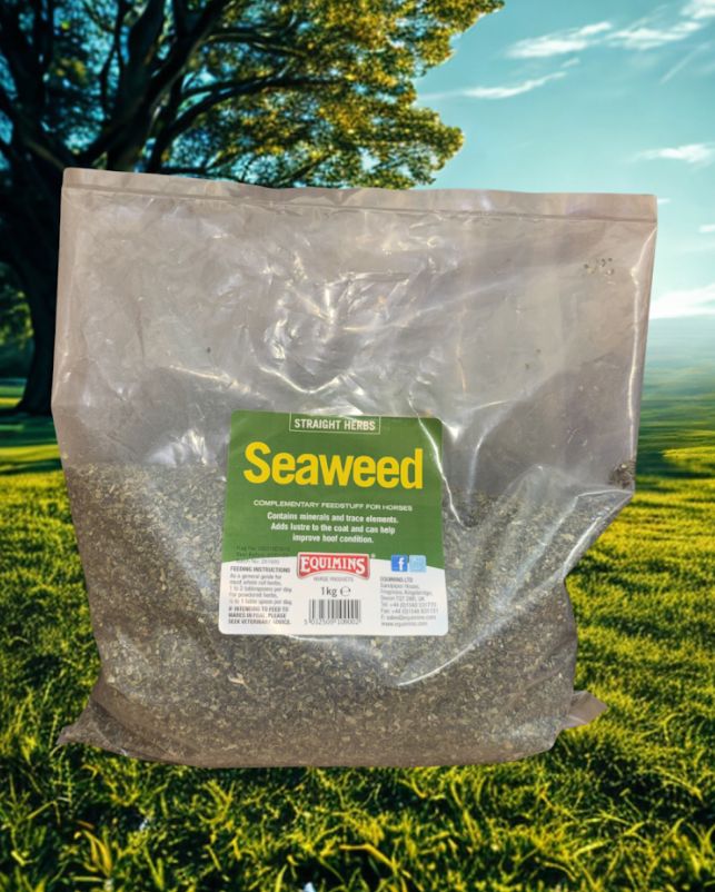 Equimins Seaweed 1Kg