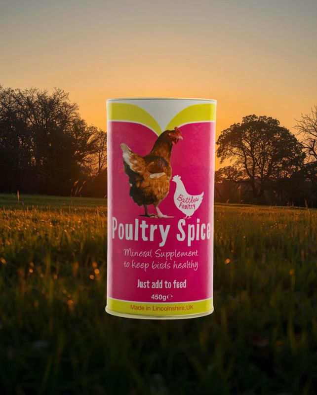 Battles Poultry Spice