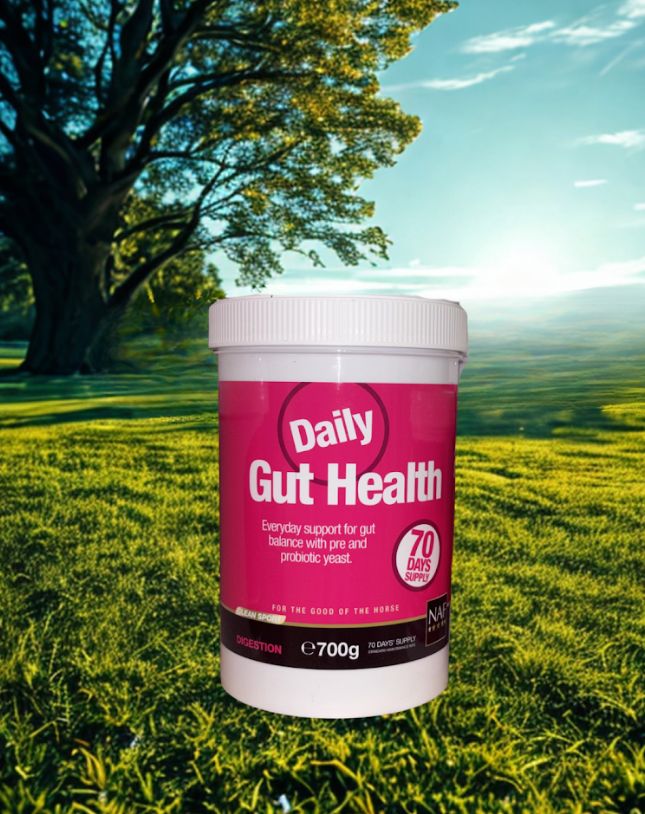 NAF Daily gut health