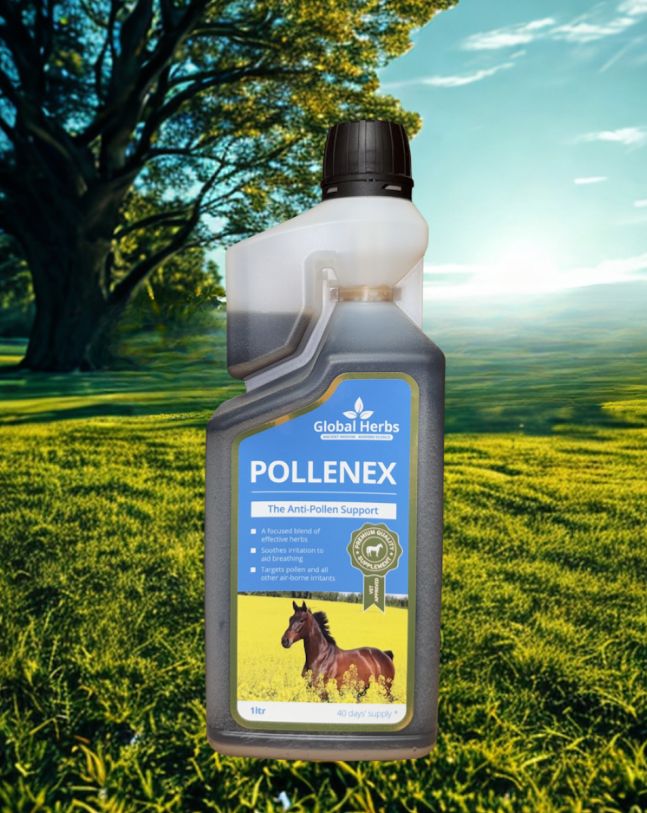 Global Herbs Pollenex