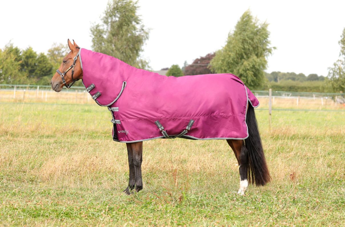 StormX Empra 200g combi stable rug