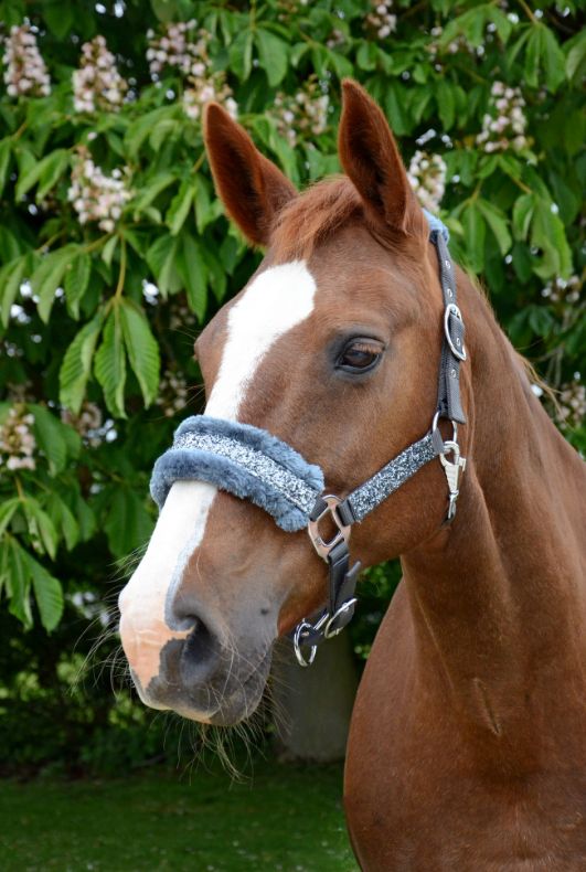 Hy Equestrian Dazzle Headcollar