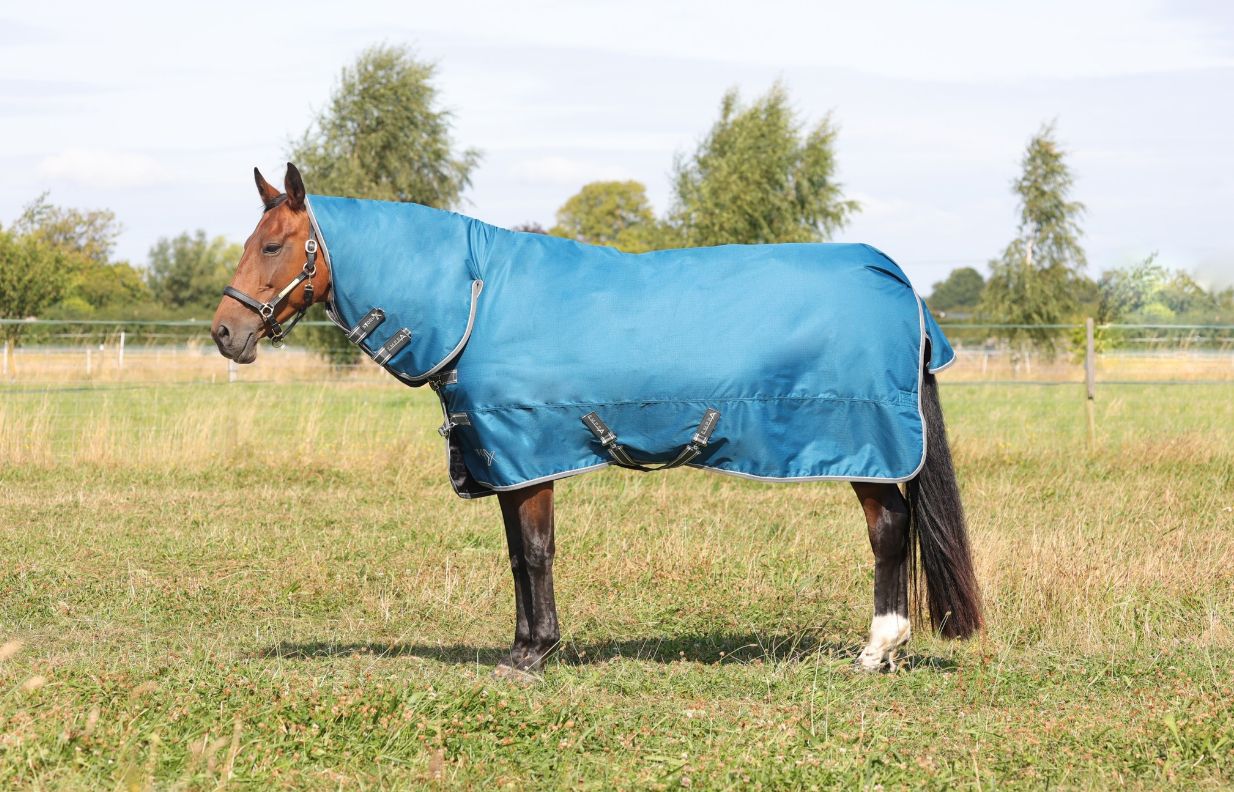 StormX Empra 50g Combo Turnout Rug
