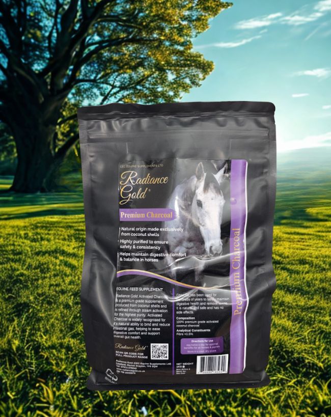 Radiance Gold Premium Charcoal