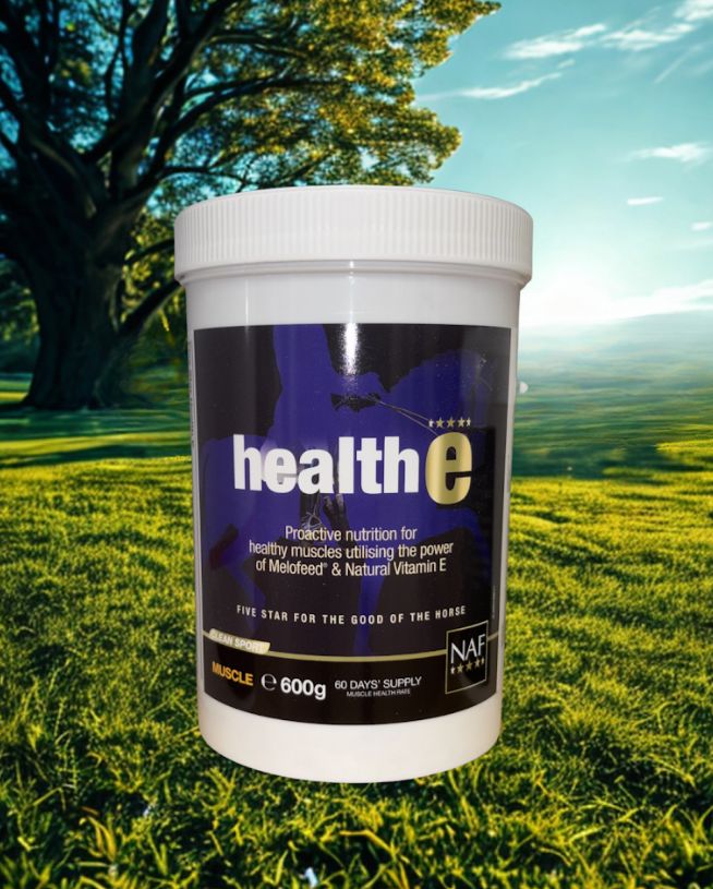 NAF Health-E Powder