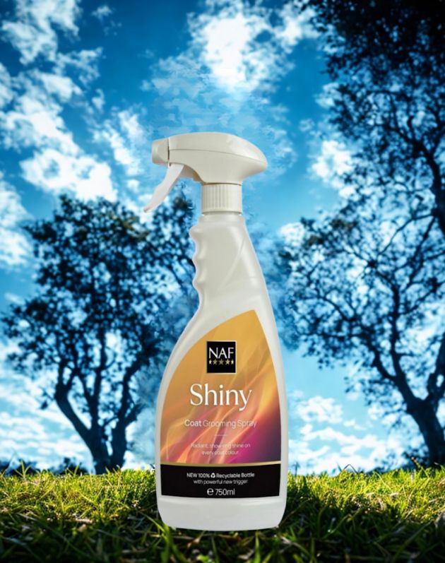 NAF Shiny