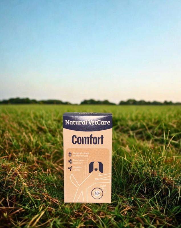Natural VetCare Comfort Oil