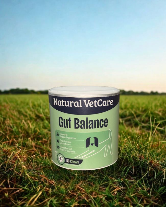 Natural VetCare Gut Balance Chews