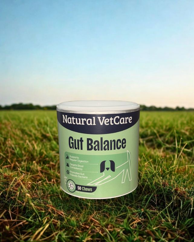 Natural VetCare Gut Balance Chews
