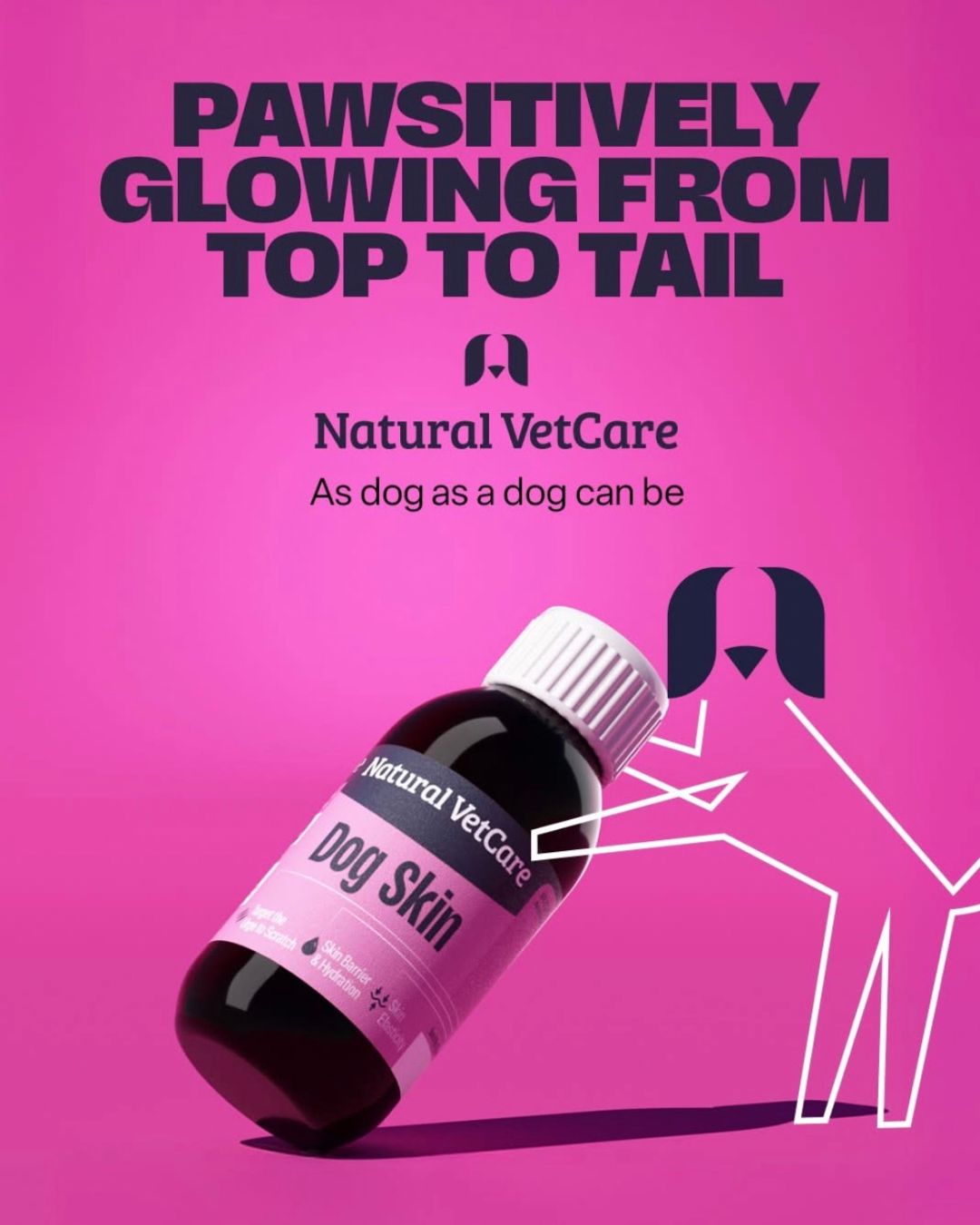 Natural VetCare Skin Oil