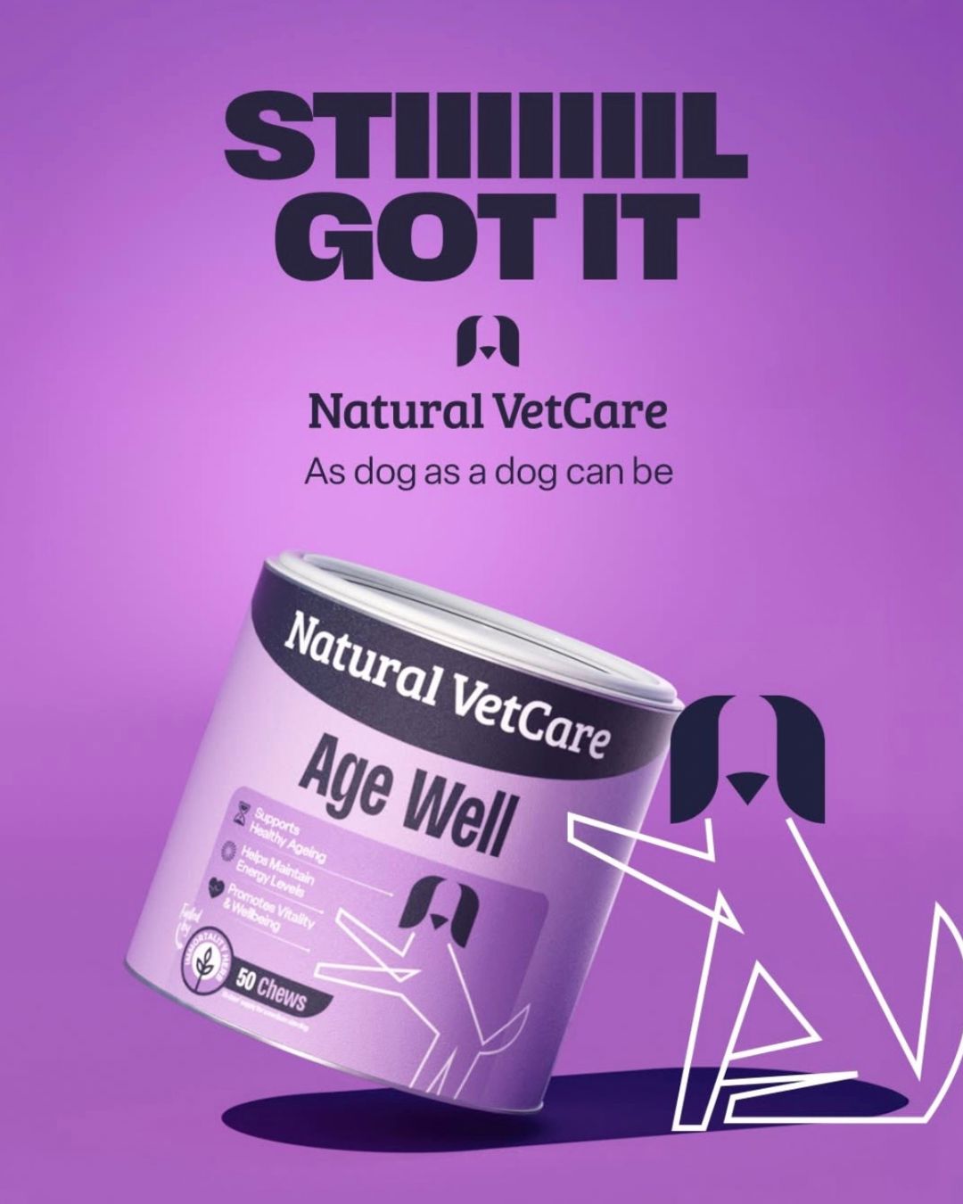 Natural VetCare Age Well Chews