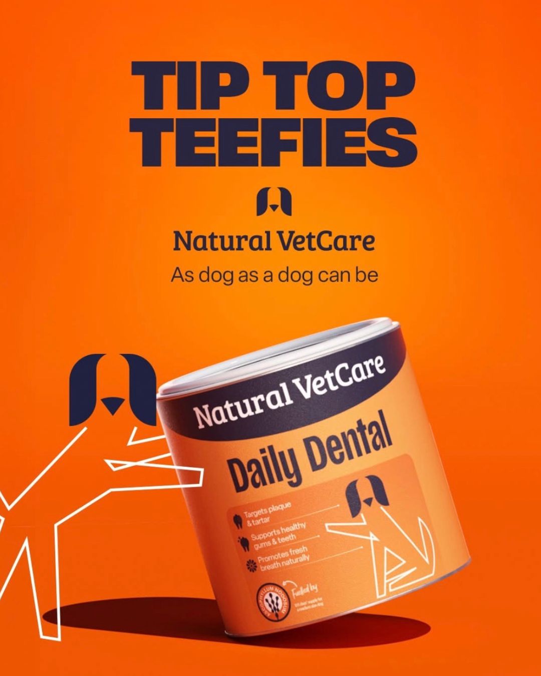 Natural VetCare Daily Dental