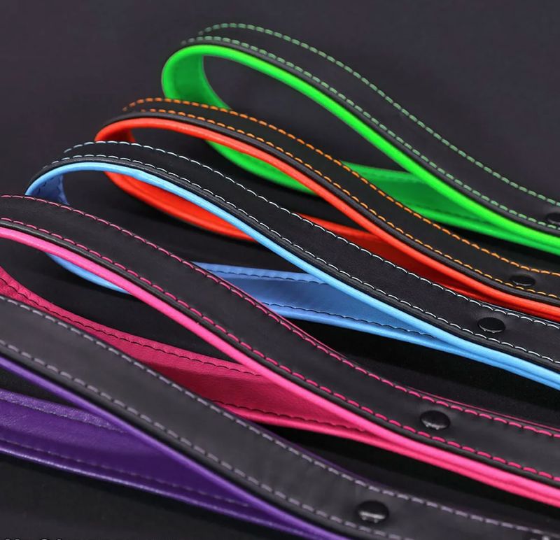 Hardline Short Leash