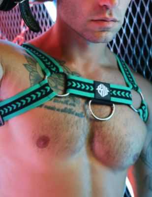 Harness