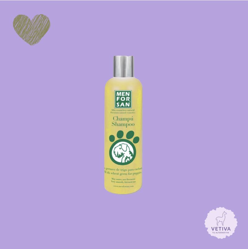 Champú con germen de trigo para cachorro
