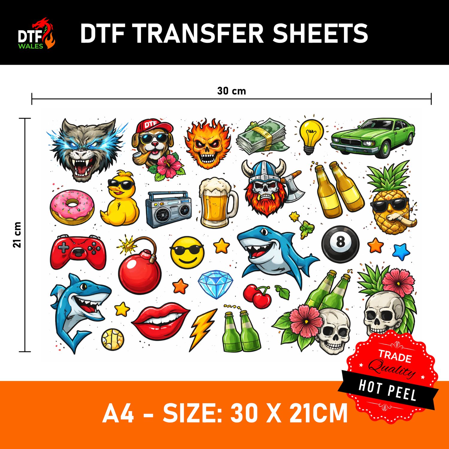 DTF Transfer Sheets – (30x21cm)