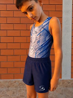 Men's &amp; Boys' Artistic Gymnastics Shorts – BLUE NAVY
