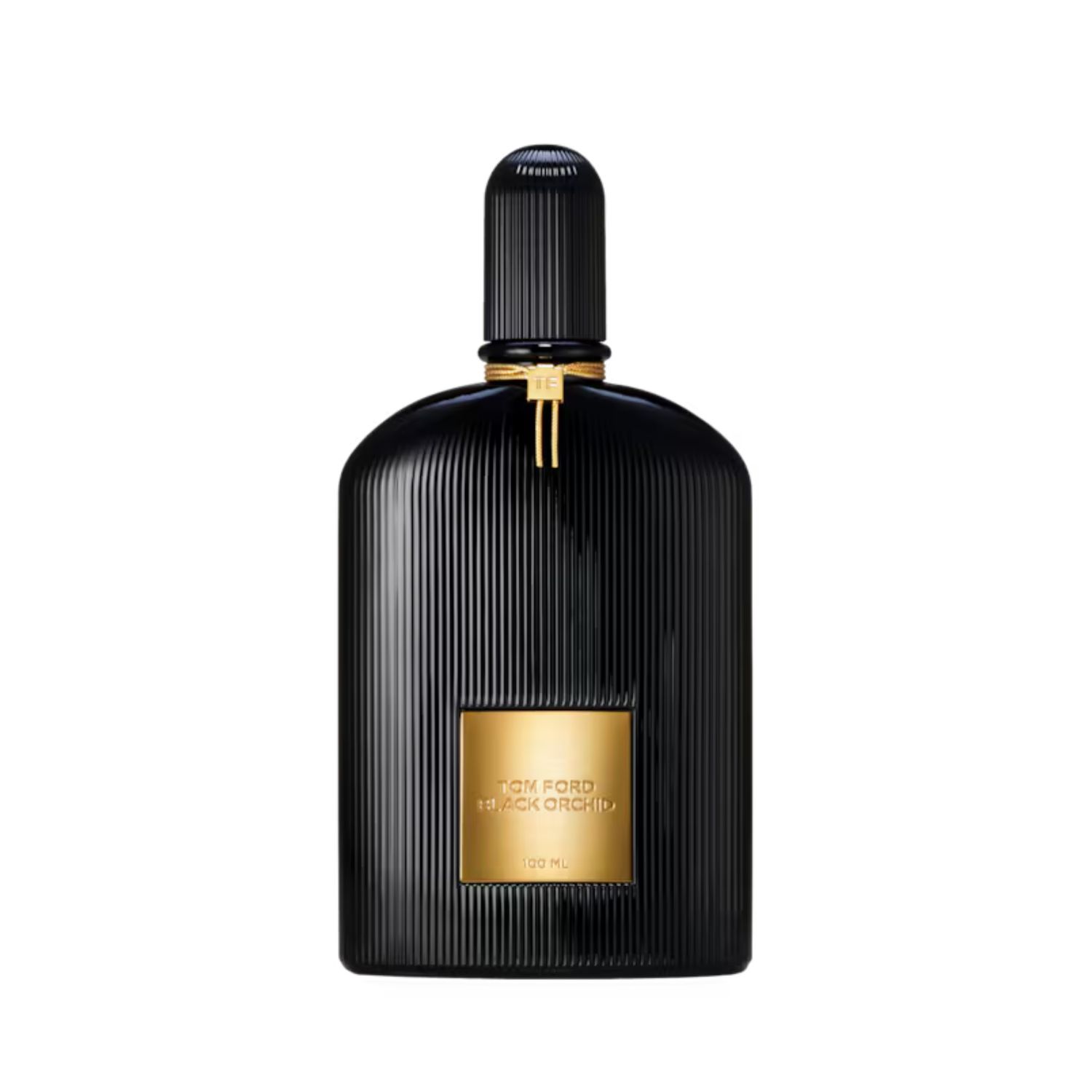 Black Orchid Black Orchid