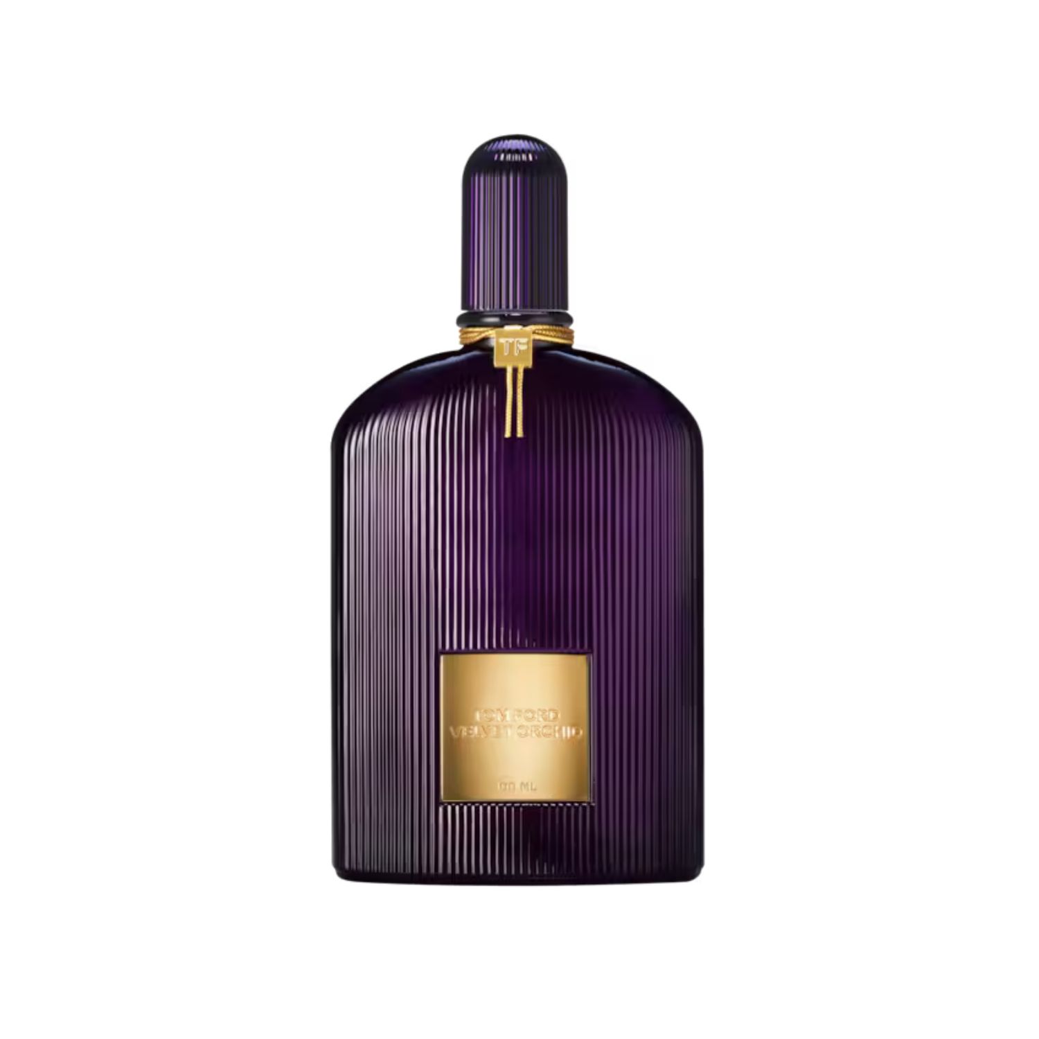 Velvet Orchid