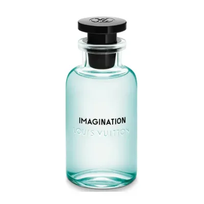 Imagination