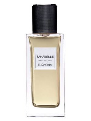Saharienne Yves Saint Laurent