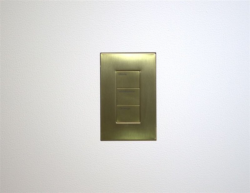Lutron® Palladiom® QS Wallstations - US Metal