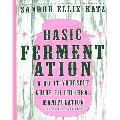 Basic Fermentation: A DIY Guide