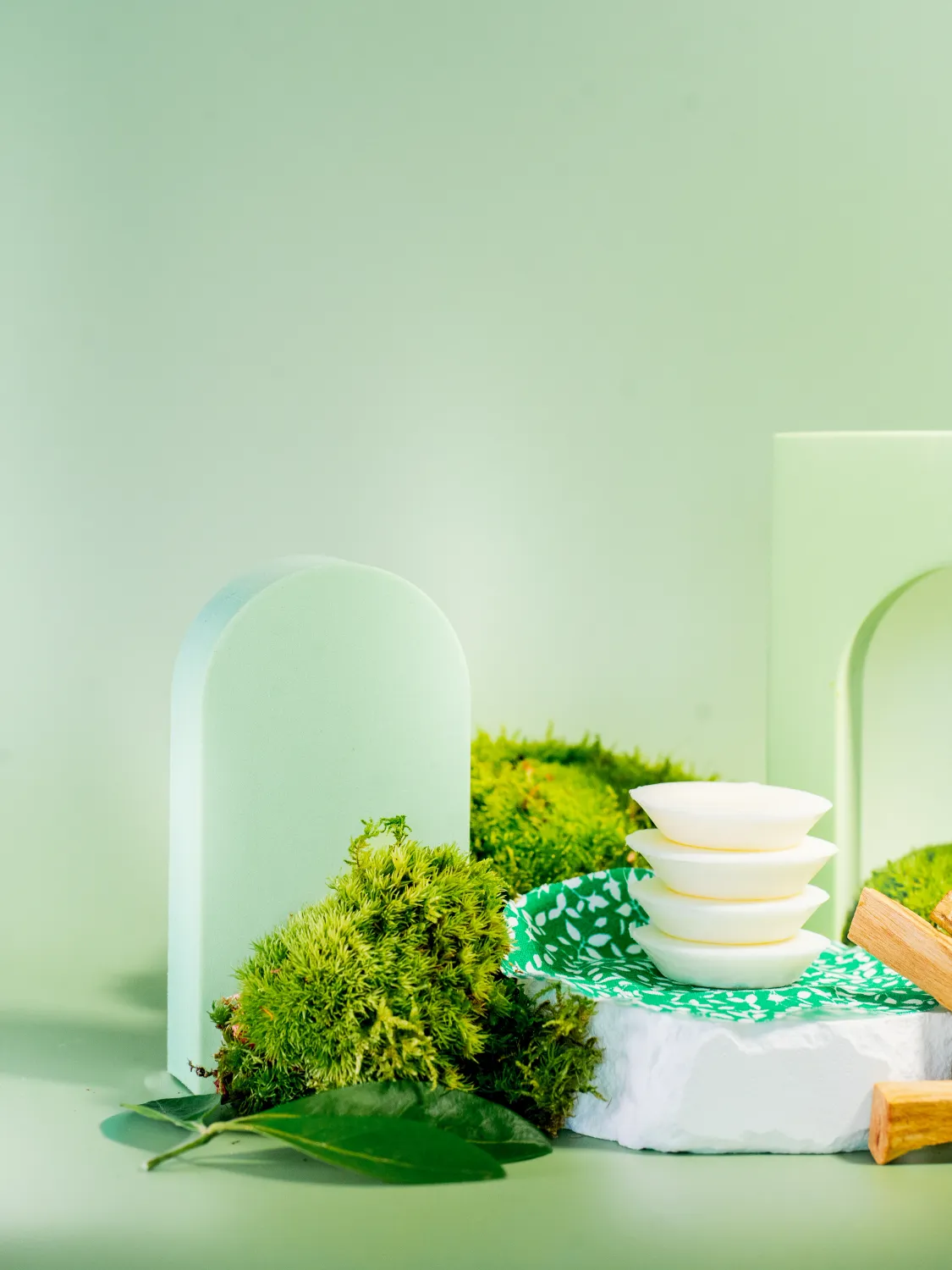 Palet fondant Cèdre du Liban