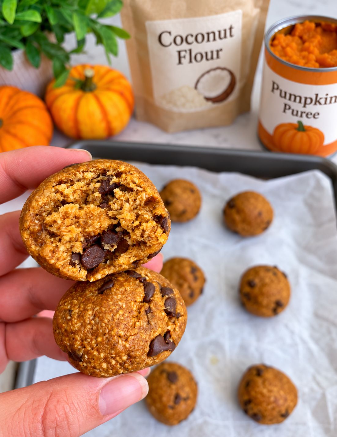 Pumpkin Spice Protein Balls- x 12