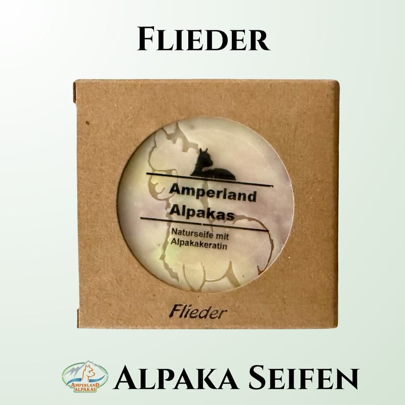 Flieder