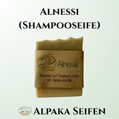 Alnessi