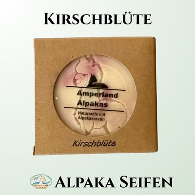 Kirschblüte