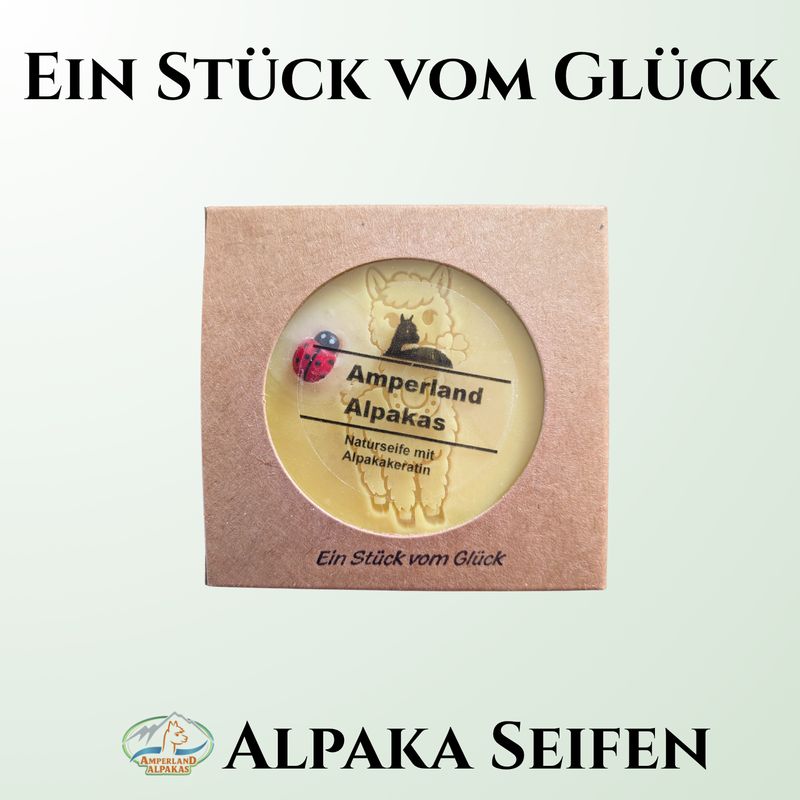 Ein Stück vom Glück