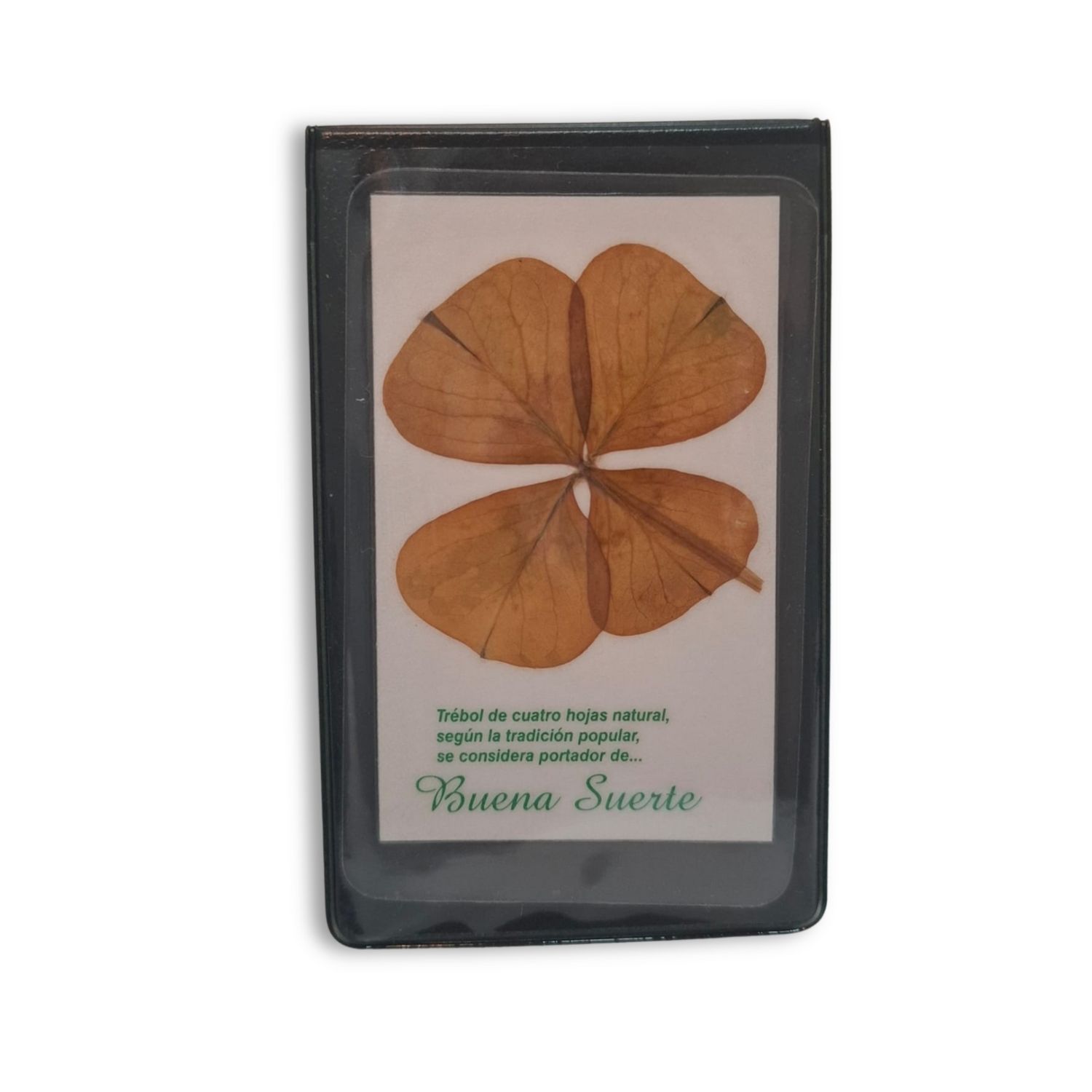 TREBOL DE 4 HOJAS NATURAL (PLASTIFICADO)