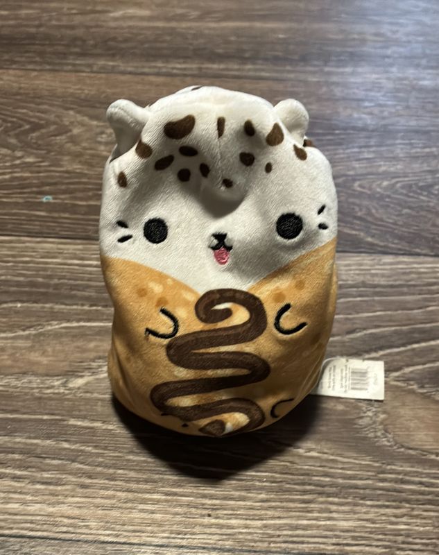 Cat Vs Pickles- Ice cream cat