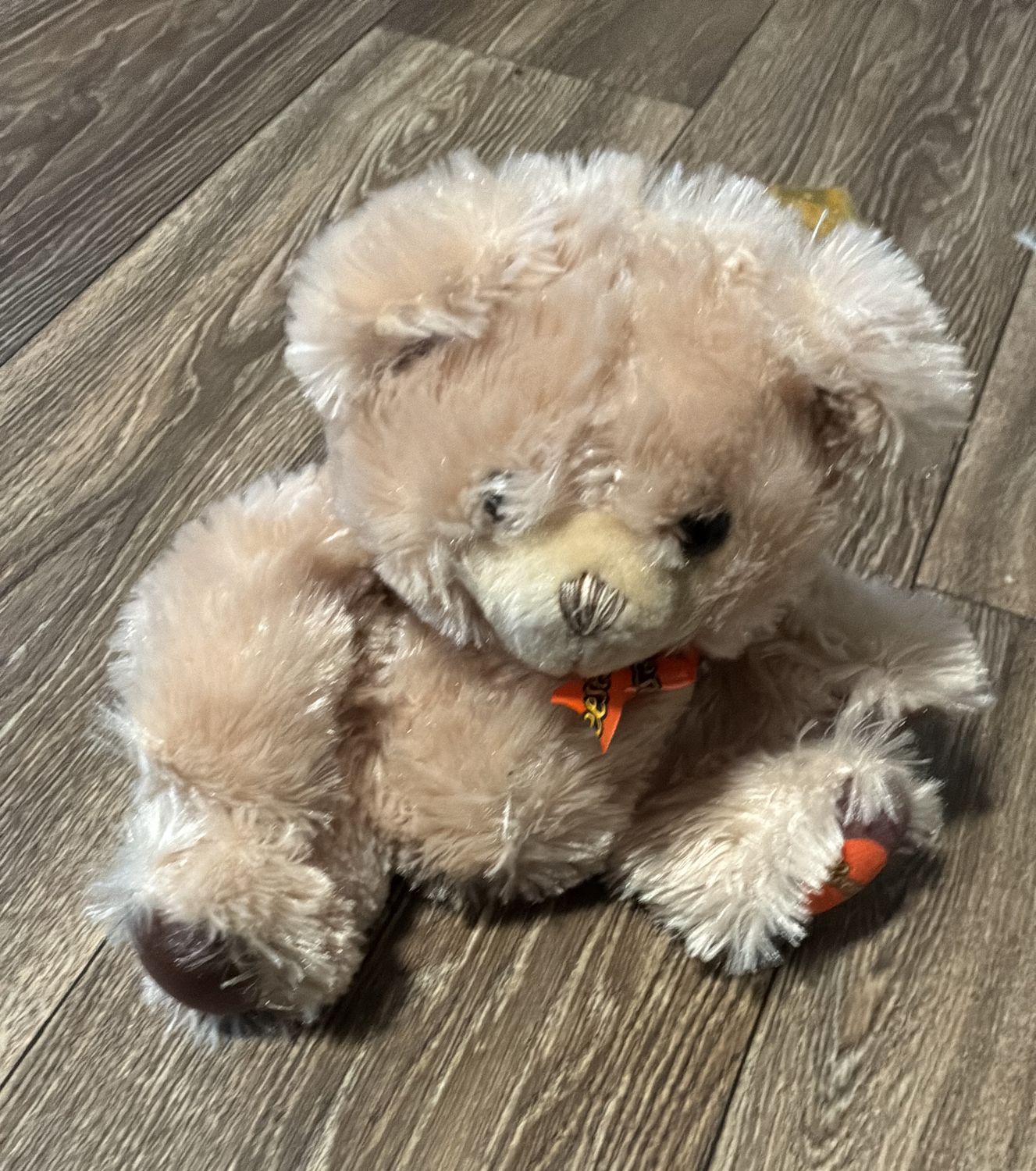 Reese’s Stuffed Bear