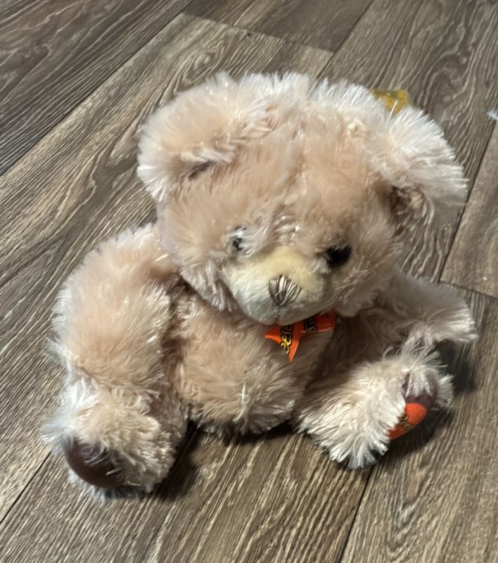 Reese’s Stuffed Bear